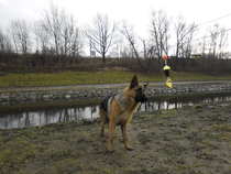 foto/forum/2011/th-img19289.jpg
