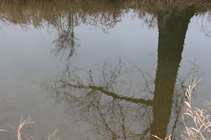 foto/forum/2012/th-img19302.jpg