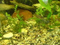 foto/forum/2012/th-img19330.jpg