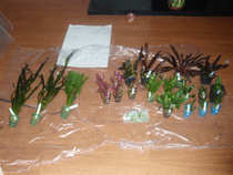 foto/forum/2012/th-img19339.jpg
