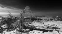 foto/forum/2012/th-img19349.jpg