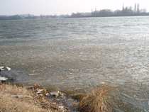 foto/forum/2012/th-img19392.jpg