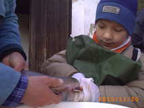 foto/forum/2012/th-img19406.jpg