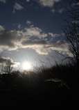 foto/forum/2012/th-img19429.jpg