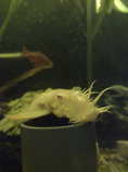 foto/forum/2012/th-img19438.jpg