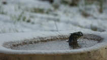 foto/forum/2012/th-img19467.jpg