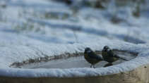 foto/forum/2012/th-img19468.jpg