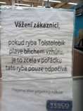 foto/forum/2012/th-img19474.jpg