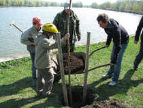 foto/forum/2012/th-img19476.jpg