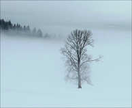 foto/forum/2012/th-img19596.jpg