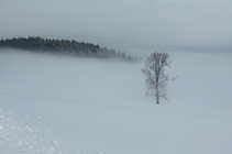 foto/forum/2012/th-img19597.jpg