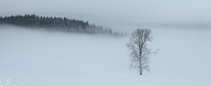 foto/forum/2012/th-img19599.jpg