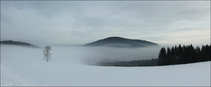 foto/forum/2012/th-img19603.jpg