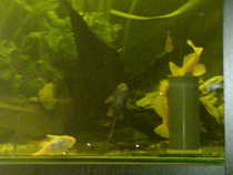 foto/forum/2012/th-img19631.jpg