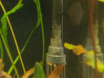 foto/forum/2012/th-img19655.jpg