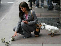 foto/forum/2012/th-img19667.jpg
