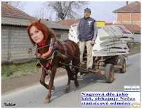 foto/forum/2012/th-img19668.jpg