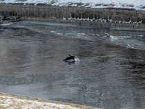foto/forum/2012/th-img19678.jpg