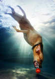 foto/forum/2012/th-img19681.jpg
