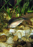 foto/forum/2012/th-img19713.jpg