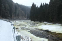 foto/forum/2012/th-img19714.jpg