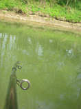 foto/forum/2012/th-img19731.jpg
