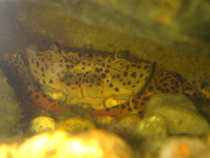 foto/forum/2012/th-img19758.jpg