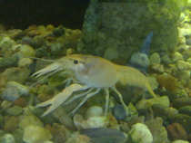 foto/forum/2012/th-img19759.jpg