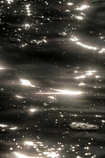 foto/forum/2012/th-img19771.jpg