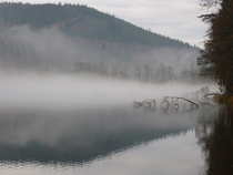 foto/forum/2012/th-img19776.jpg