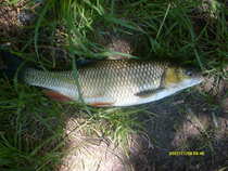 foto/forum/2012/th-img19786.jpg