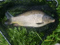 foto/forum/2012/th-img19787.jpg