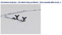 foto/forum/2012/th-img19793.jpg