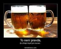foto/forum/2012/th-img19847.jpg