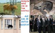foto/forum/2012/th-img19849.jpg