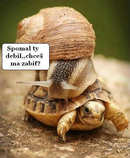 foto/forum/2012/th-img19858.jpg