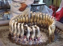 foto/forum/2012/th-img19876.png