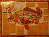 foto/forum/2012/th-img19887.jpg