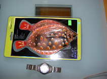 foto/forum/2012/th-img19984.jpg