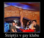 foto/forum/2012/th-img20018.png