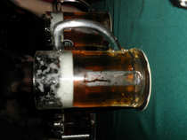 foto/forum/2012/th-img20027.jpg
