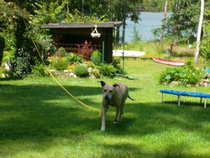 foto/forum/2012/th-img20035.jpg