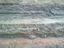 foto/forum/2012/th-img20037.jpg