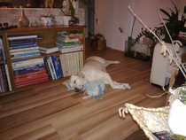 foto/forum/2012/th-img20041.jpg