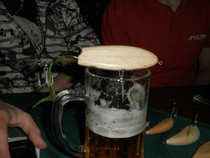 foto/forum/2012/th-img20043.jpg