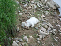 foto/forum/2012/th-img20057.jpg