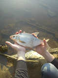 foto/forum/2012/th-img20071.jpg