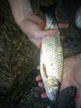 foto/forum/2012/th-img20072.jpg