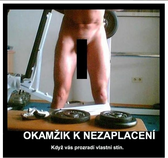 foto/forum/2012/th-img20083.png