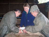 foto/forum/2012/th-img20086.jpg
